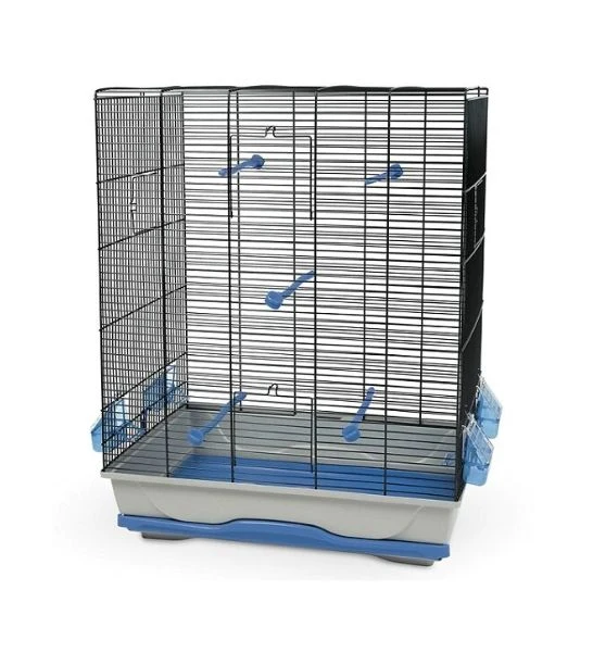 MPS 2 Ambra Bird Cage