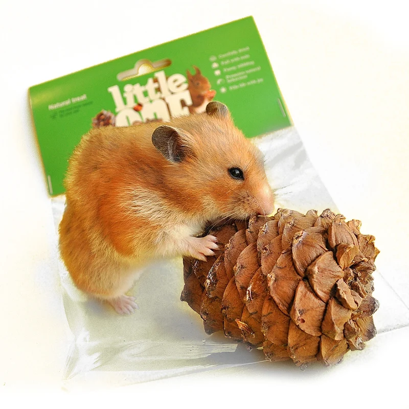 Little One Cedar Cone Natural Treat For Small Pets 1pc
