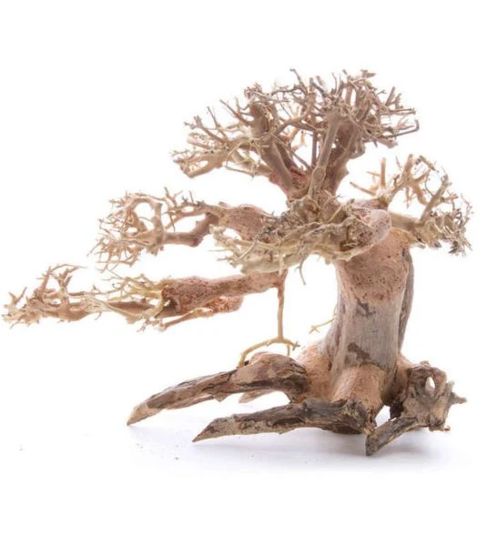 SV Aquarium Deco Ancient Bonsai Wood