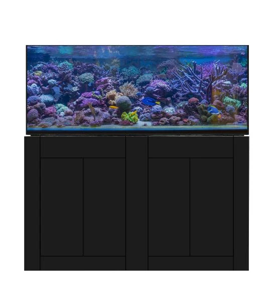 Exotic Aquariums Black Diamond Aquarium