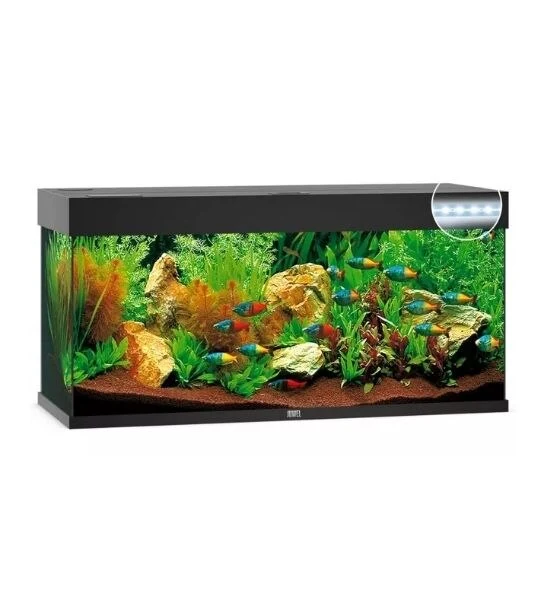 Juwel Rio 240 LED Glass Aquarium 240L With Heater & Filter