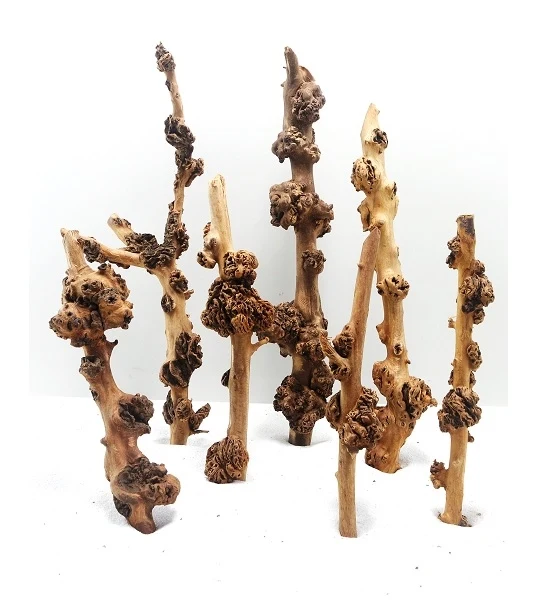 SV Aquarium Deco Sava Wood