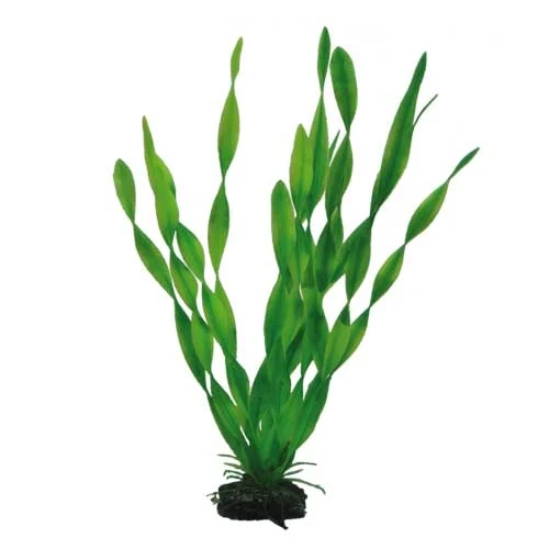HOBBY Artificial Plant Vallisneria for Aquarium