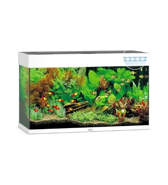 Juwel Rio 125 LED Glass Aquarium With Heater & Filter