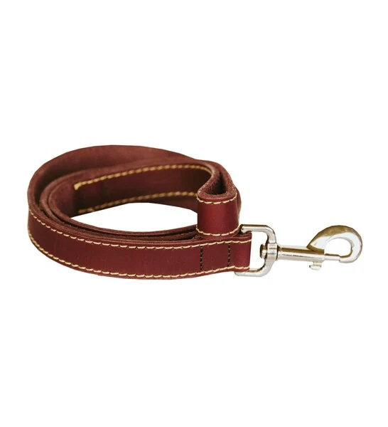 Huntlea Leopard Leather Dog Lead