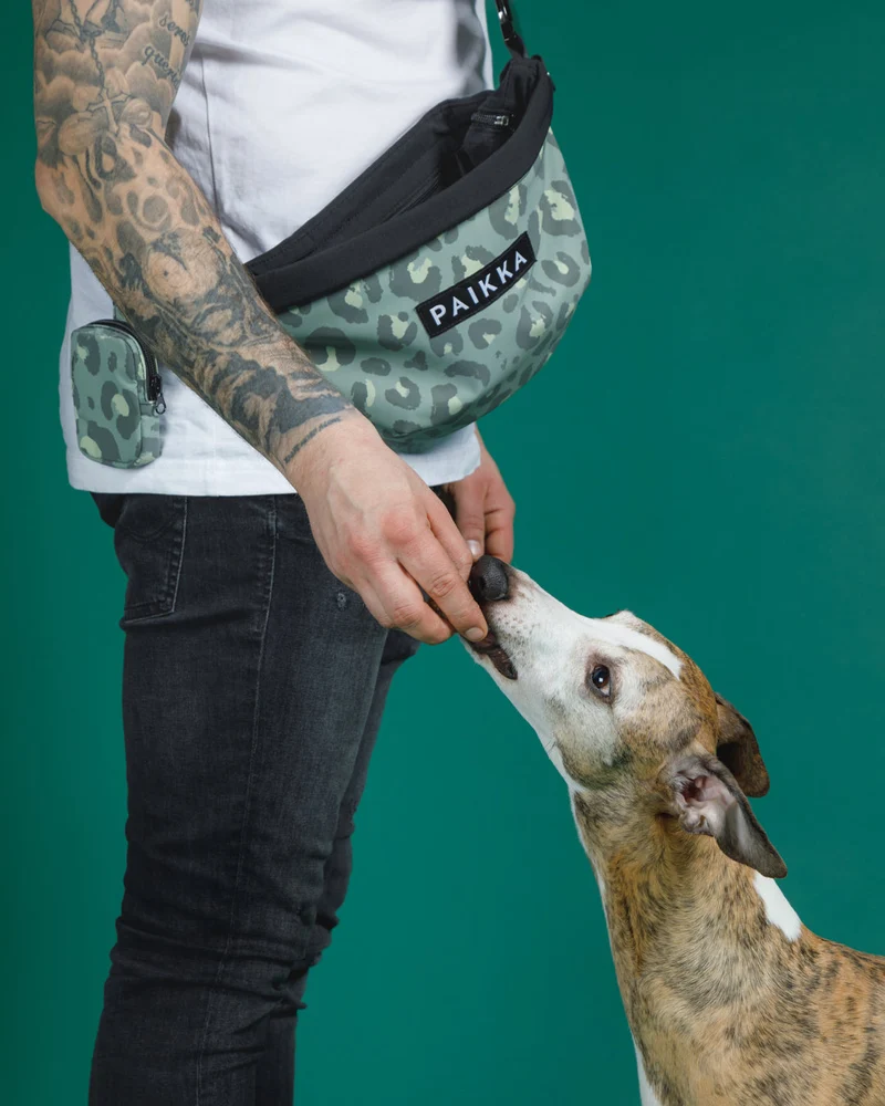PAIKKA Leo Visibility Treat Bag