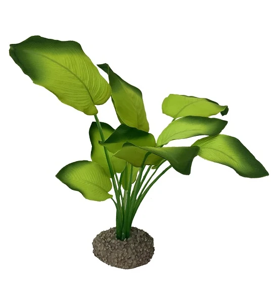 Aqua D'Ella Anubias 3 20cm