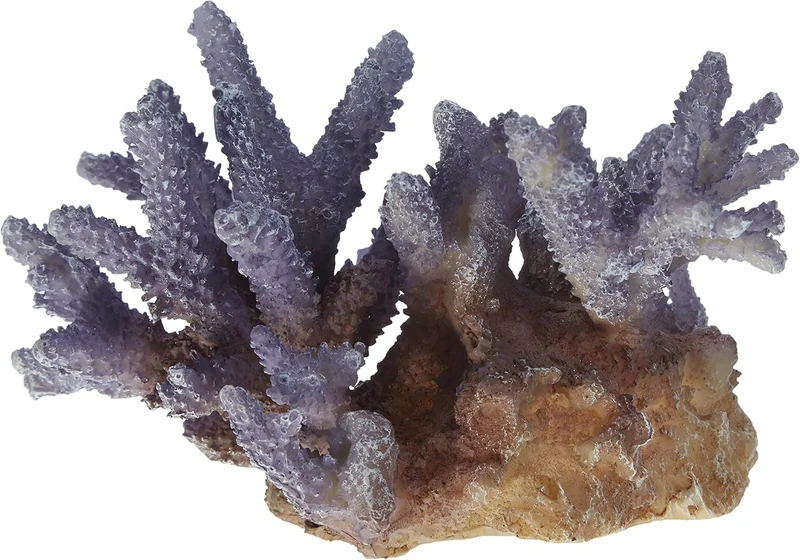 Aqua D'Ella Coral Acropora Lila for Aquariums 15.5x12x10cm
