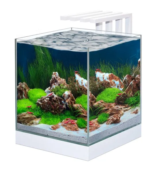 Ciano Nexus Pure 25 Cube Glass Aquarium 22L With LED & Filter