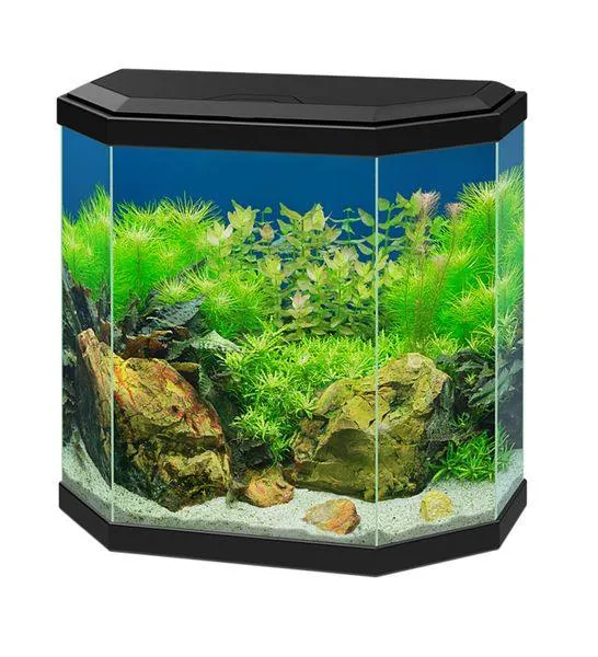 Ciano Aqua 30 Glass Aquarium 25L With LED & Filter