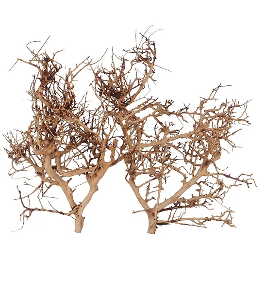 Aqua D'Ella Thailand Large Branch for Aquarium 35-45cm