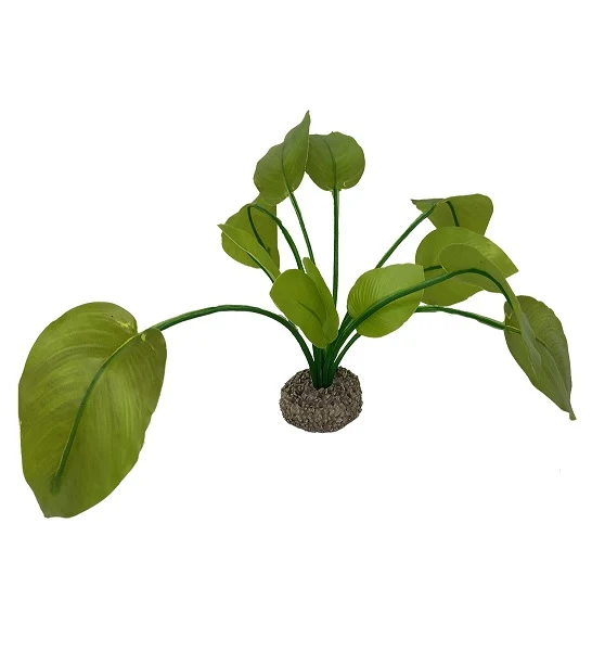 Aqua D'Ella Anubias 2 17cm