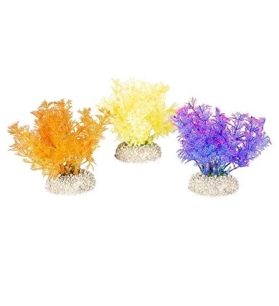 Aqua D'Ella Plant Hottonia Mixed Colors 2