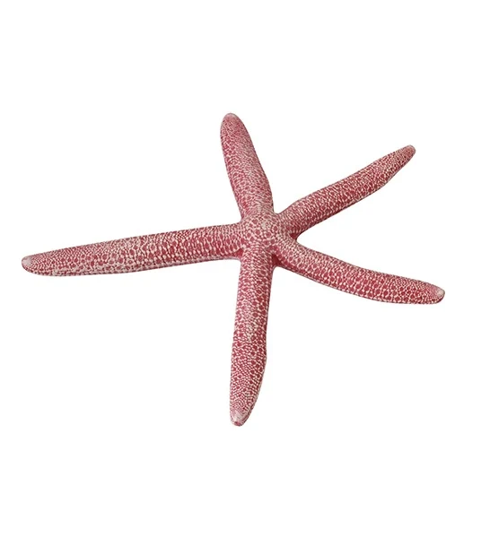 Aqua D'Ella Starfish Decoration for Aquariums