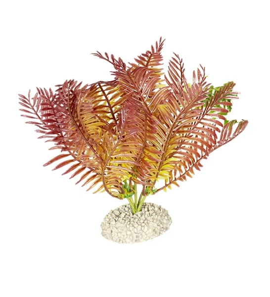 Aqua D'Ella Plant Bolbitis for Aquariums