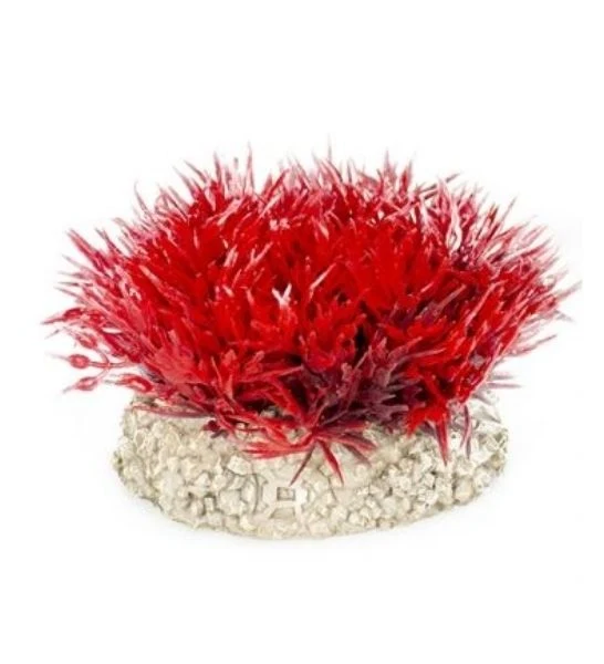 Aqua D'Ella Plant Miracle Moss Aquarium Decor