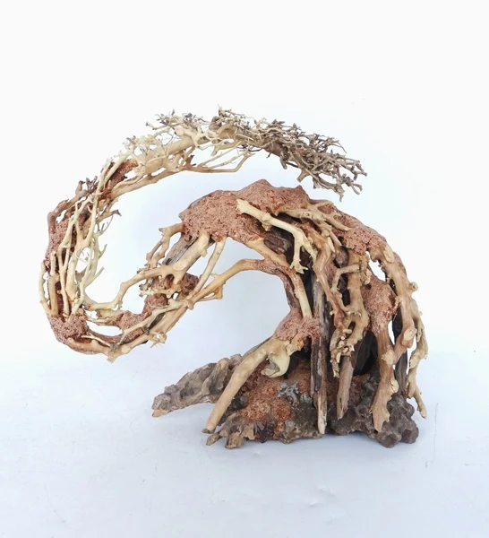 SV Aquarium Deco Dragon Like Wood Tree