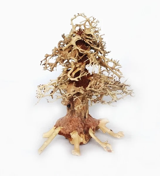 SV Aquarium Deco Christmas Tree Bonsai Wood