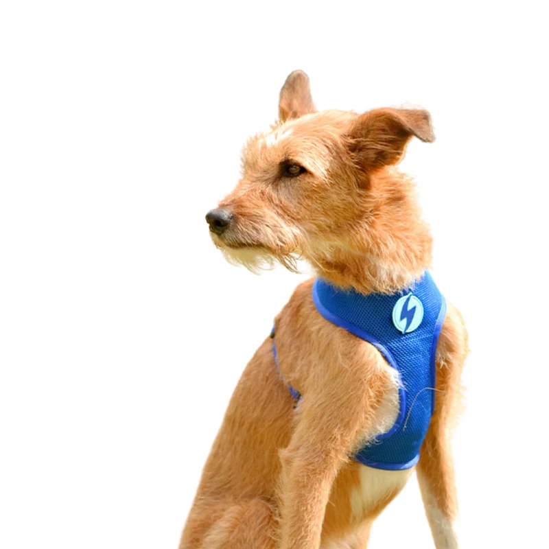 Dashi Reversible Nebula Neo Mesh Harness for Dogs