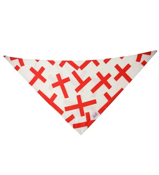 ZiggyDog England Flag Dog & Cat Bandana