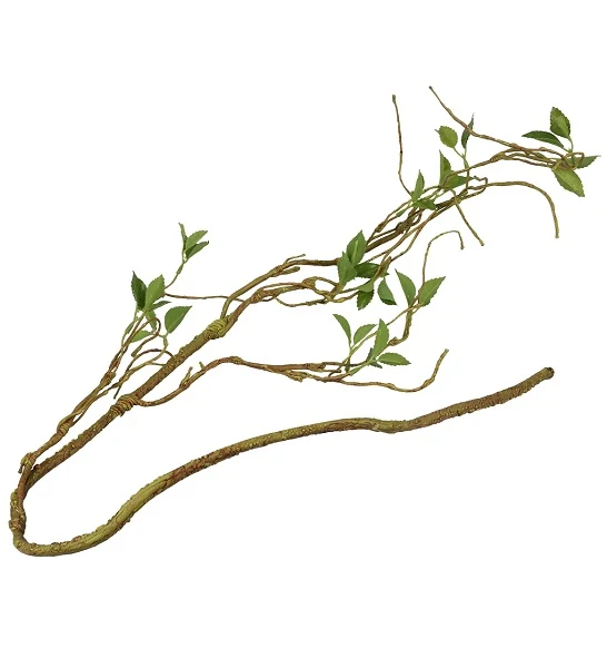 Terra D'Ella Plant Branch Thin 130cm