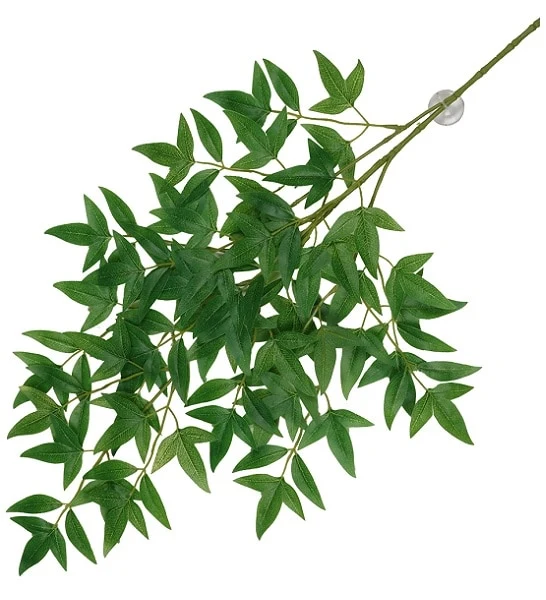 Terra D'Ella Hanging Plant Nandina