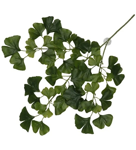 Terra D'Ella Hanging Plant Ginko
