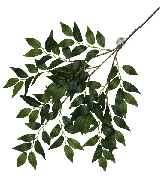 Terra D'Ella Hanging Plant Banyan 62x32x3cm