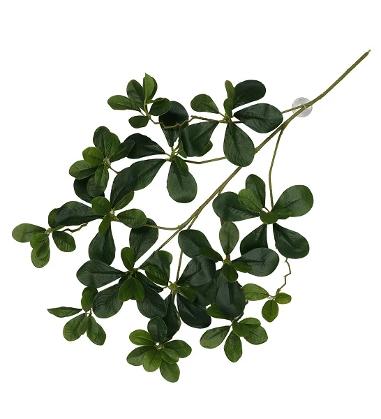 Terra D'Ella Hanging Plant Aralia 60x30x6cm