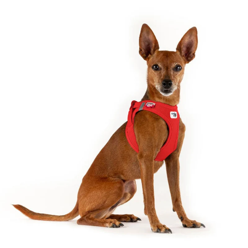 Curli Air-Mesh Vest Harness With Curli Clasp For Dogs
