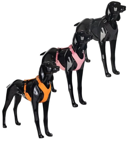 PAIKKA Visibility Harness for Dogs