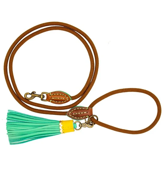 DWAM Rover Dog Leash