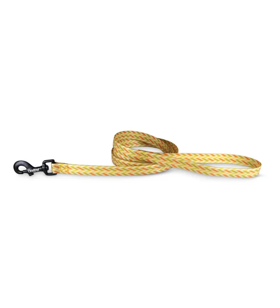 Omnipet Attitudz Carmel Leash 6ft