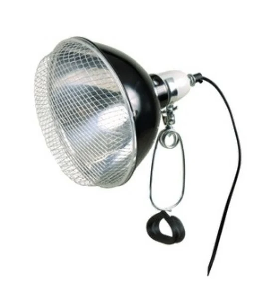 Trixie Clamp Lamp