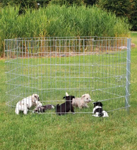 Trixie Puppy Run for Puppies 91cm