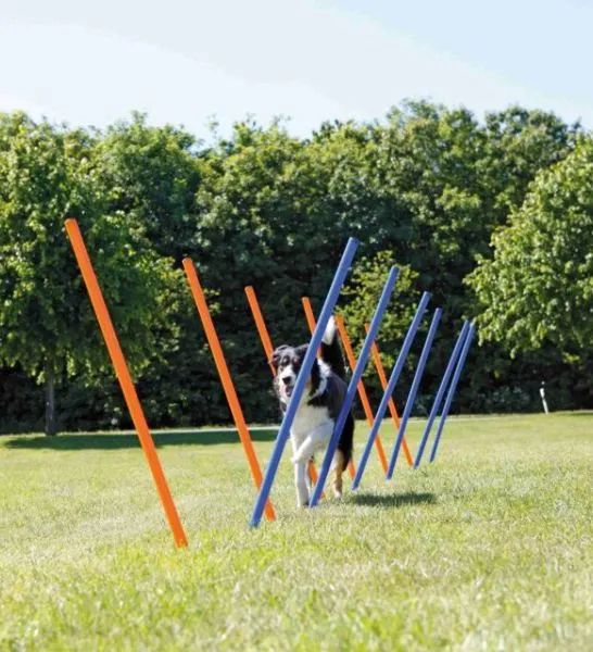 Trixie Dog Activity Agility Slalom Poles for Dogs 115x3cm