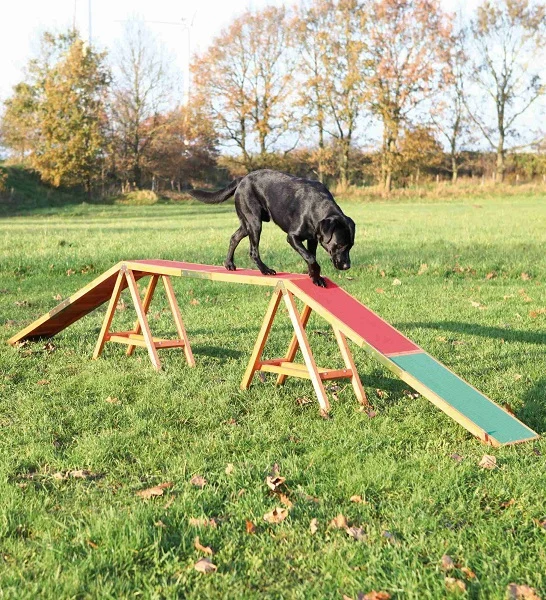 Trixie Dog Activity Agility Dogwalk Bridge for Dogs 456x64x30cm