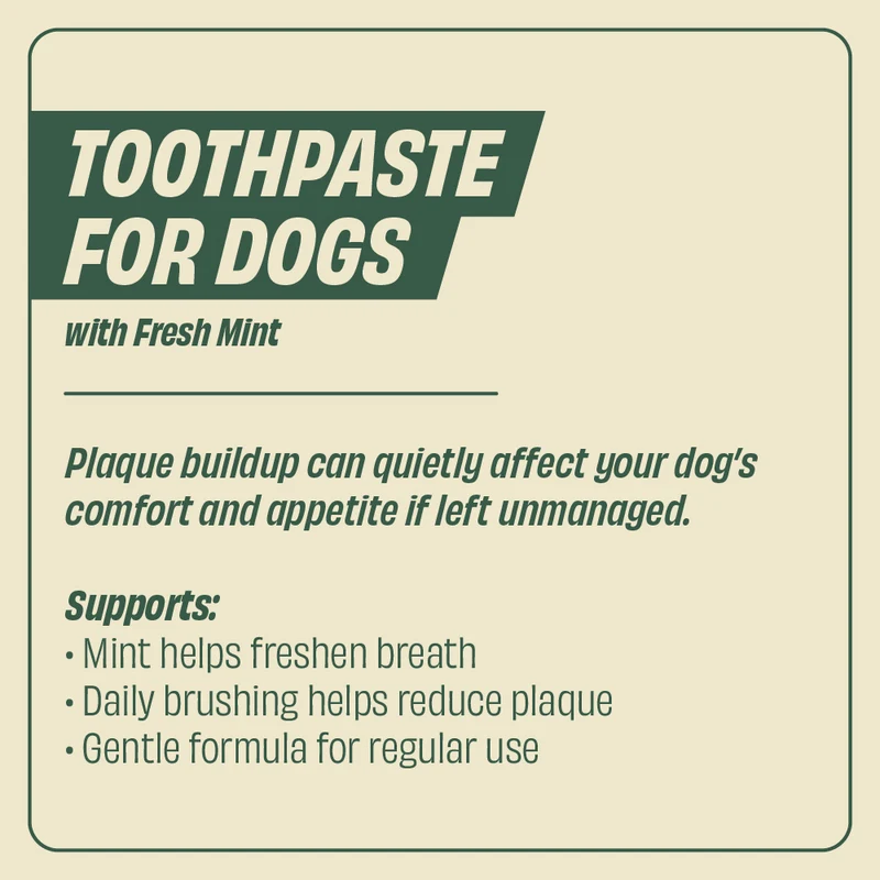 Trixie Toothpaste with Mint for Dogs 100g